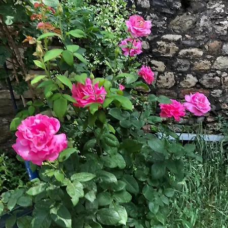 Hamam 1469 Hostel Istanbul