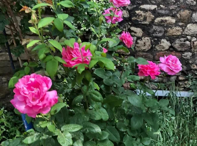 Hamam 1469 Hostel Κωνσταντινούπολη